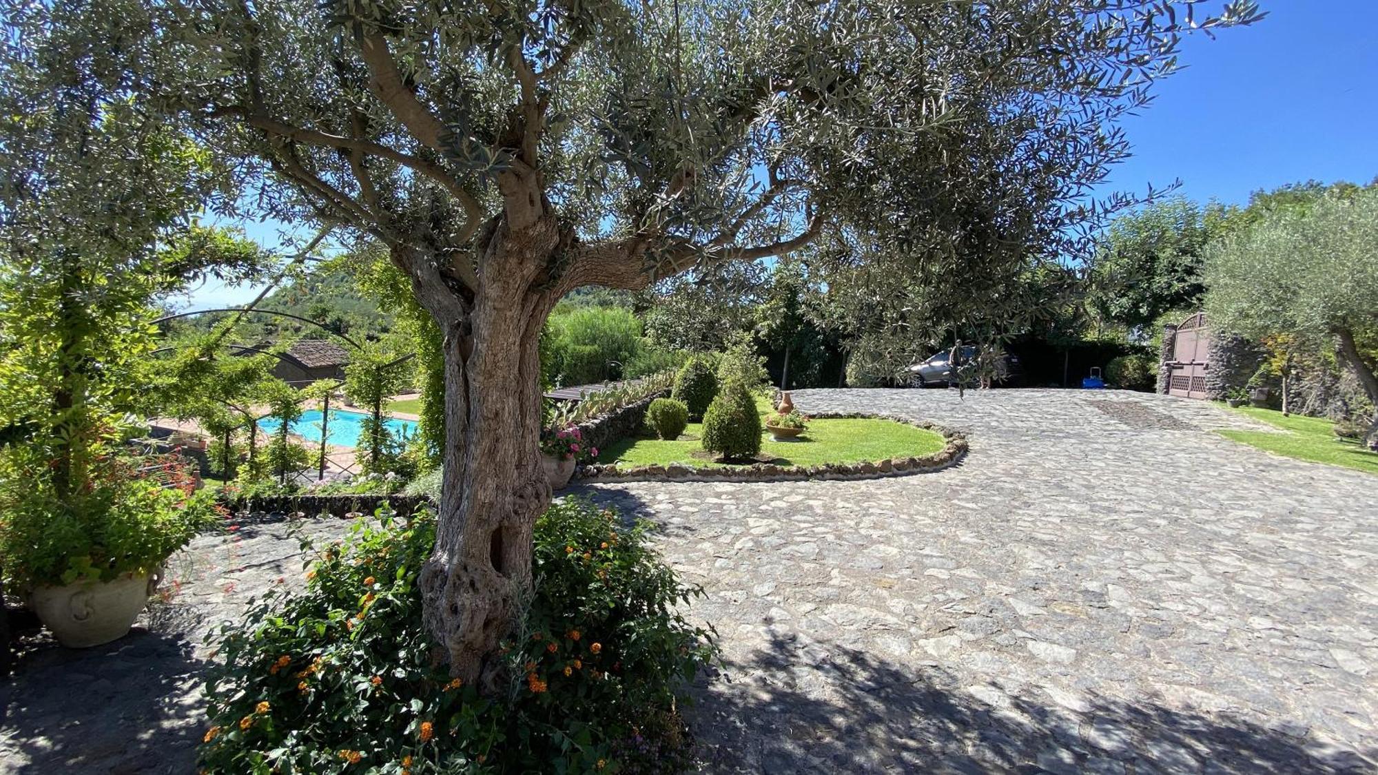 Il Palmento Dell'Etna Villa Trecastagni Exterior photo